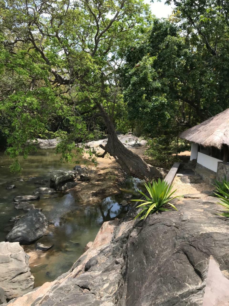 Galapita Eco Lodge Buttala Extérieur photo