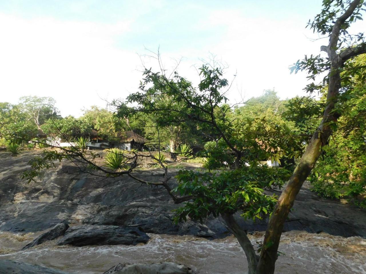 Galapita Eco Lodge Buttala Chambre photo